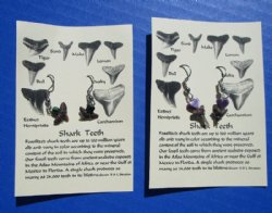 WholesaWholesale Fossil Shark Tooth Earrings with Assorted Colored Beads on French Wire - 12 pair @ $3.00 a pair; 36 pair @ $2.70 a pair