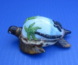3-3/4" Painted Tiger Cowrie Shell Turtles - 10 pcs @ $2.25 each; 50 pcs @ $2.00 each