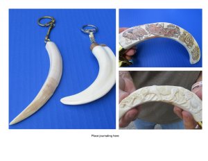 Warthog Tusk Carved/Scrimshawed & Keychains