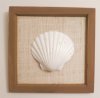 8" X 8" Wholesale Square Framed Irish Deep Shell for seashell art - Case of 12 pcs @ $2.10 each