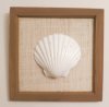 8" X 8" Wholesale Square Framed Irish Deep Shell for seashell art - Packed: 3 @ $2.50 each