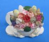 Wholesale Card Holder Seashell Novelties - Packed: 10 pieces @ $1.80 each; Packed: 30 pieces @ $1.60 each