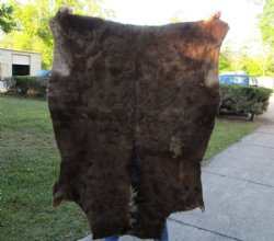 Wildebeest Skins, Hides 