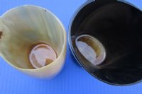 Wholesale Buffalo Horn cup with wood bottom - 5 inches tall - 2 pcs @ $8.50 each; 12 pcs @ $7.50 each