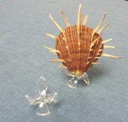 Egg Display Stand, Rock Stand, Acrylic Display Stand for Glass Paperweights and Shells - 12 pcs @ $.90 each; 72 pcs @ $.80 each 