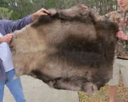 Grade B Reindeer Skins, Reindeer Hides Without Legs - (4 pc)