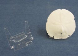 4 inch Wholesale Display Easel Stands for Agate Slices and Shells -12 pcs @ $2.00 each; 48 pcs @ $1.80 each