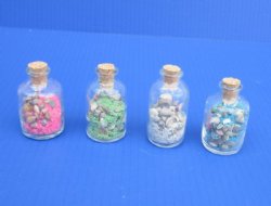 2 oz Sand and Shells Souvenir Bottles Wholesale- Case of 192 @ .50 each