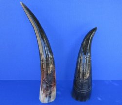 Polished Cow Horns with Modern Art Carved Design - 11 inch to 14 inch (2 pc, 8 pc)