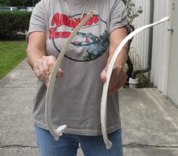 2 piece lot of 19 a...