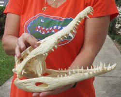 REDUCED PRICE - SAL...