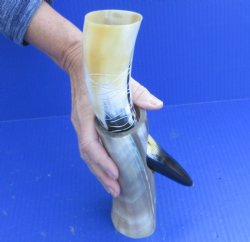 Carved Polished Buf...