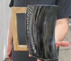 8" Buffalo Horn Beer Pitcher with wood handle. For sale - $19