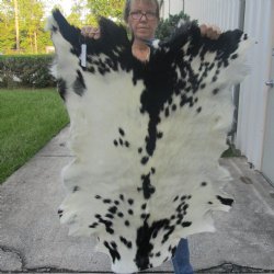 Real Goat Hide for sale -  39 inches - $25