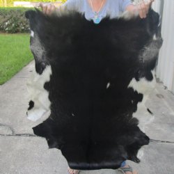 Real Goat Hide for sale -  41 inches - $25