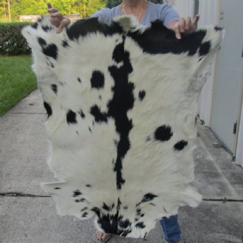 Goat Skin, Goat Skins, Goat Hide