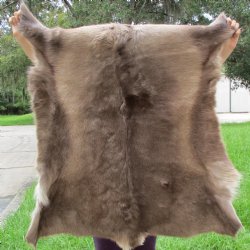 Finland Reindeer Hide/Skin, 43" x 39" - $130