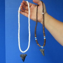 2 piece lot of Fossil Mako Shark Tooth necklaces - $25