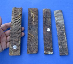 Buy now - <font color=red>CLOSEOUT</font> 2 pairs of 7 x 1-1/4 x 1/4 sheep horn scales, knife handle material for $42/lot