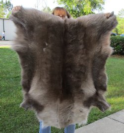 43 inches by 36 inches Finland Reindeer Hide, Skin, farm raised - $155