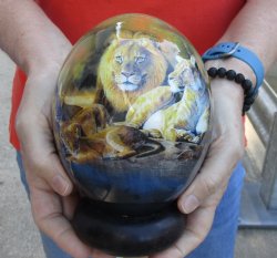 6 inch Pride of Lions and Map of Africa Decoupage Ostrich Egg with Wooden Bangle Stand - $45