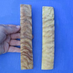 7" Pair of Sheep Horn Scales - $29