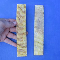 7" Pair of Sheep Horn Scales - $29