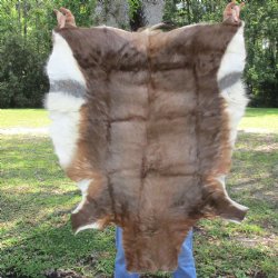 Blesbok Skin Rug, Blesbok Hide Soft Tanned 45" x 34" - Review all photos.  (You are buying the skin pictured) for $70