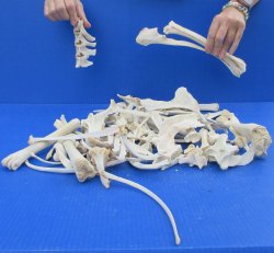 4lb Assorted Bones 