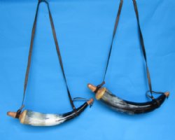 Carved Cow Powder horn with leather strap 14 to 18 inch (2 pc, 12 pc)