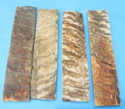Bone, Horn Knife Scales Wholesale