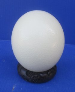 Wholesale Wooden Carved Ostrich Egg Display Stands with assorted designs (Bangle Style) - 2 pcs @ $3.90 each; 12 pcs @ $3.50 each
