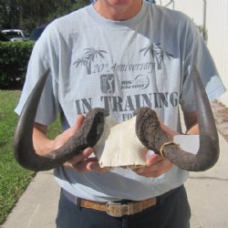 Wholesale Female bl...