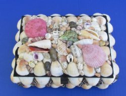 Large 2 Pecten shell design in assorted colors rectangle shell Jewelry Box Wholesale - 2 pcs @ $10.65 each; 6 pcs @ $9.59 each
