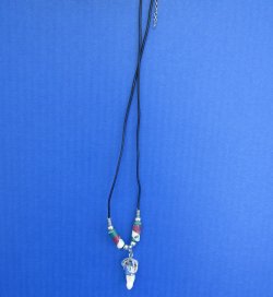 Three Alligator Tooth Necklace 1/2 to 1-1/2 inch