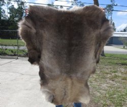 Reindeer Hide, Reindeer Skin, Without Legs (4 pc)