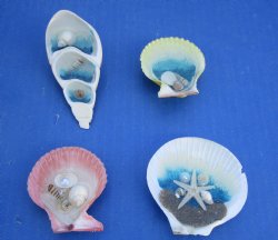 Wholesale Beach Scene Shell Magnets 2 to 3 inches - 20 pcs @ $.80 each; 100 pcs @ $.70 each