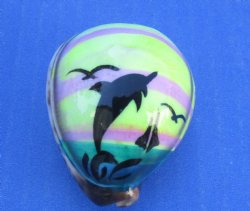Wholesale Painted Tiger Cowrie Shell with Dolphin magnet 2" to 2-1/4" - 10 pcs @ $1.30 each; 60 pcs @ $1.17 each
