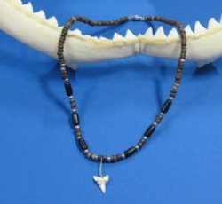 18 inch black/brown coconut bead shark tooth necklace (1 dz, 5 dz)