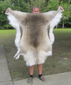 Tanned Reindeer Hides, Reindeer Skins Standard Grade - (1 pc)