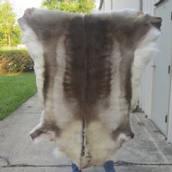 Reindeer Skin, Reindeer Hide