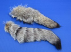 Kit Fox tails 10 to 13 inch (2 pc, 8 pc)