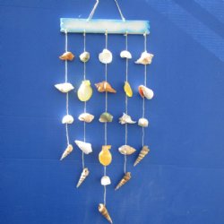 19 inch Assorted Natural shell wall hanger (6 pcs, 24 pcs)