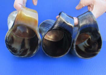 Wholesale 1000 ml Polished Cow/Cattle horn mug with wood base  - 2 pcs @ $18; 8 pcs @ $16 each