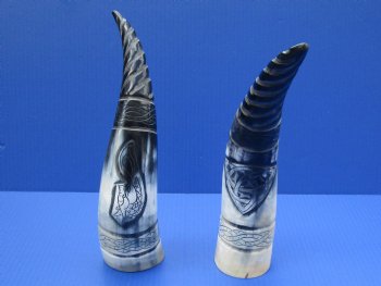 Wholesale Polished Spiral Carved Dragon Cattle/Cow horns 12-15 inch - 2 pc @ $14.00 each; 8 pcs @ $12.60 each