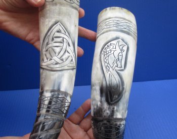 Wholesale Polished Spiral Carved Dragon Cattle/Cow horns 12-15 inch - 2 pc @ $14.00 each; 8 pcs @ $12.60 each