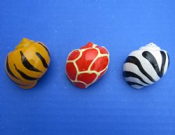 Painted Hermit Crab Shells in Assorted Animal pattern designs and colors 1-1/4" to 2" - 50 pcs @ $.40 each;  200 pcs @ $.36 each