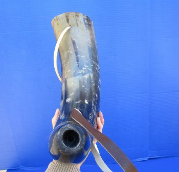 Buy this 24 inch Polished Buffalo blowing horn with leather strap for $30