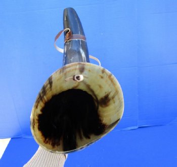 Buy this 24 inch Polished Buffalo blowing horn with leather strap for $30