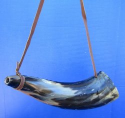 Buy this 18 inch Polished Buffalo blowing horn with leather strap for $25